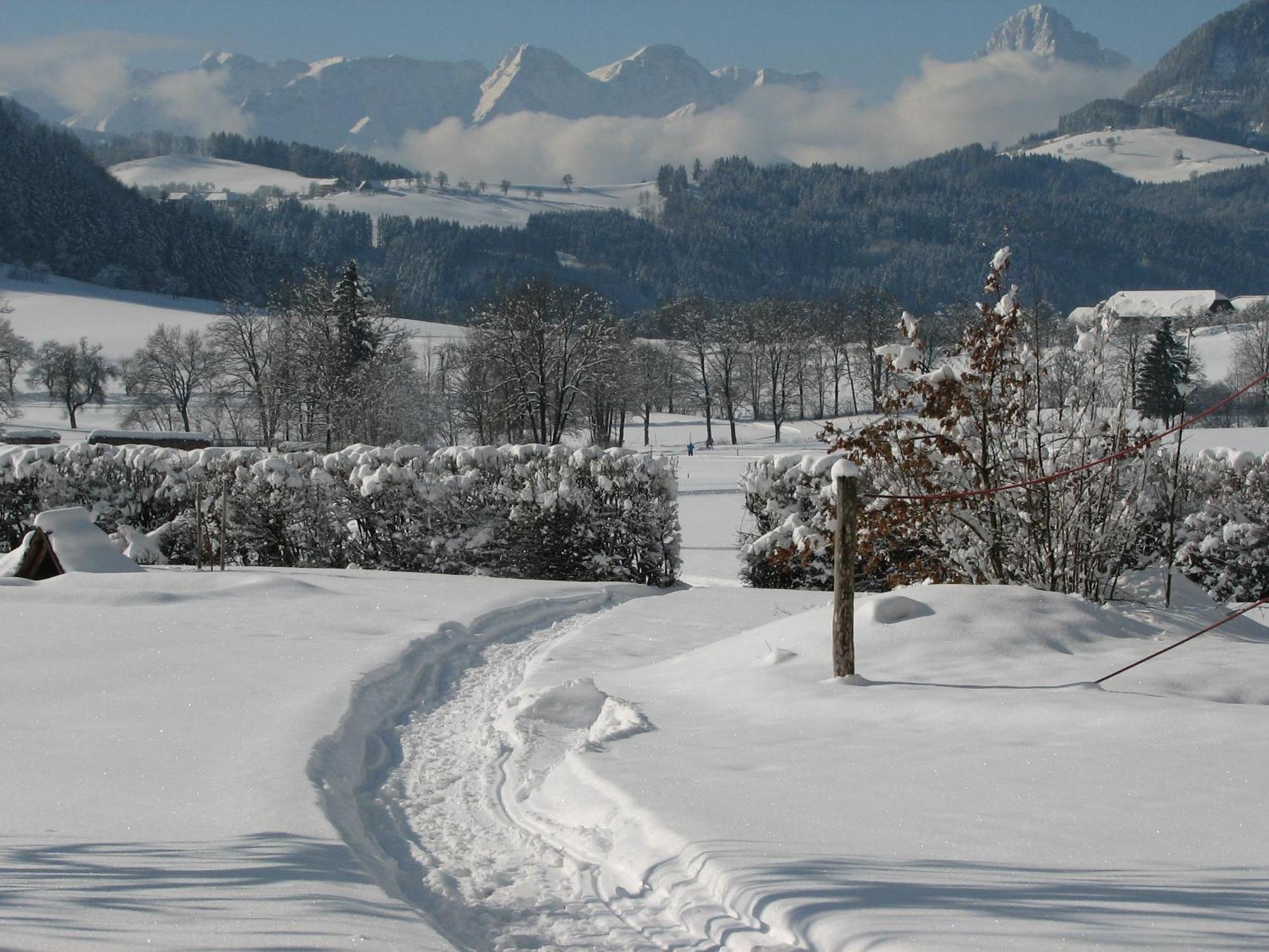 Villa Sonnwend National Park Lodge Rossleithen Екстериор снимка